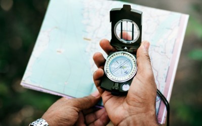 Beyond the Application: Building a Successful Wholesale Distributor Licensing Strategy