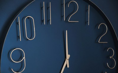 December Is Coming: Why State License Renewals Require More Than Checking a Box